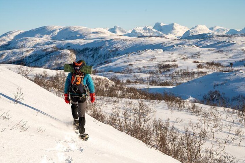 Snowshoeing Day Trip in Bodo, Northern Norway