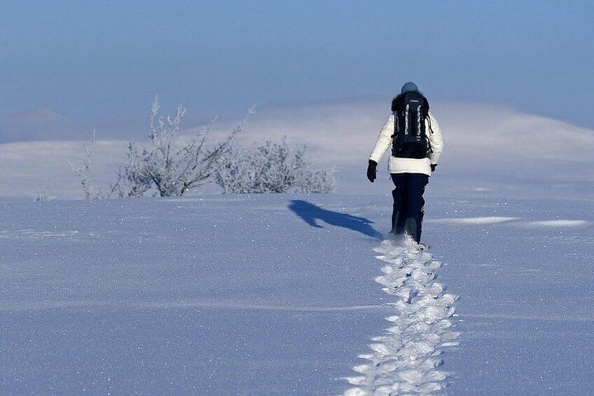 Terje Rakke Nordic Life Visitnorway