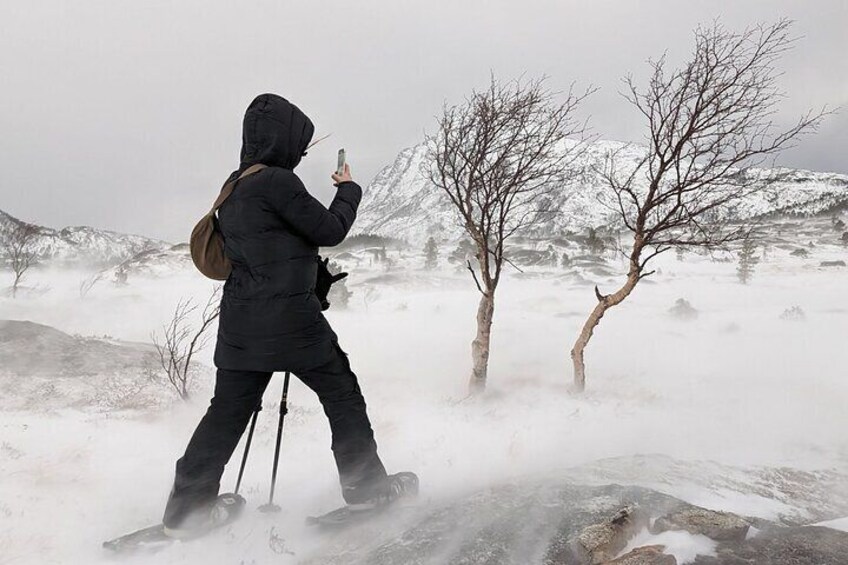 Snowshoeing Day Trip in Bodo, Northern Norway