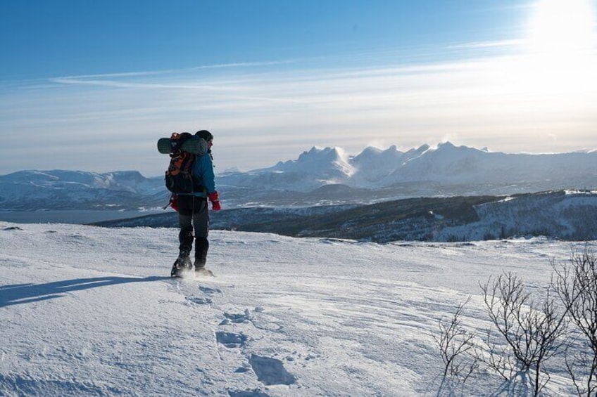 Snowshoeing Day Trip in Bodo, Northern Norway