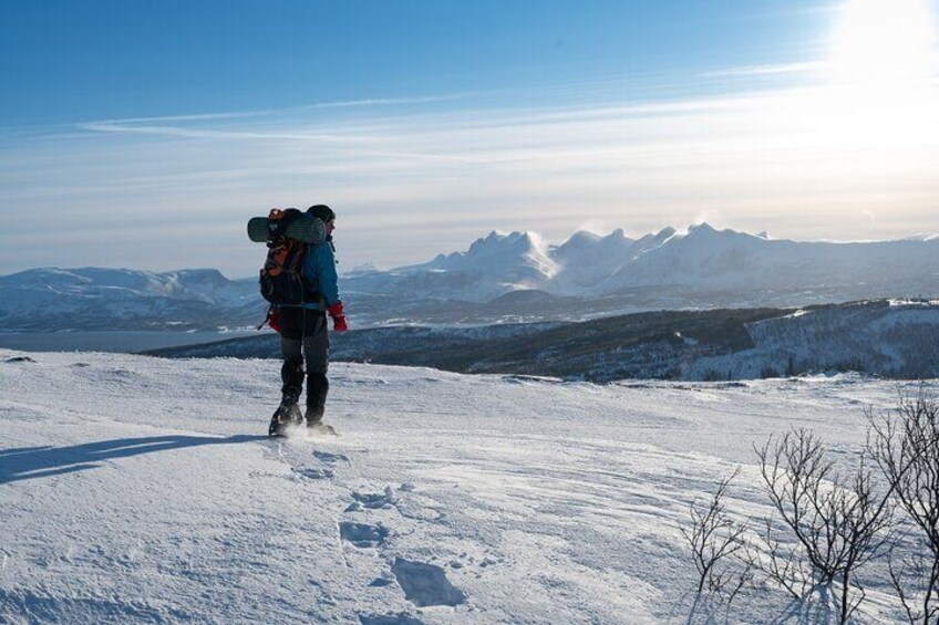 Snowshoeing Day Trip in Bodo, Northern Norway