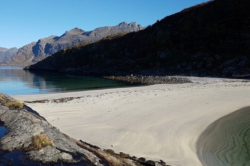 Hike to Hovdsundet in Bodo, Northern Norway, Rugged Coastal Day Hike