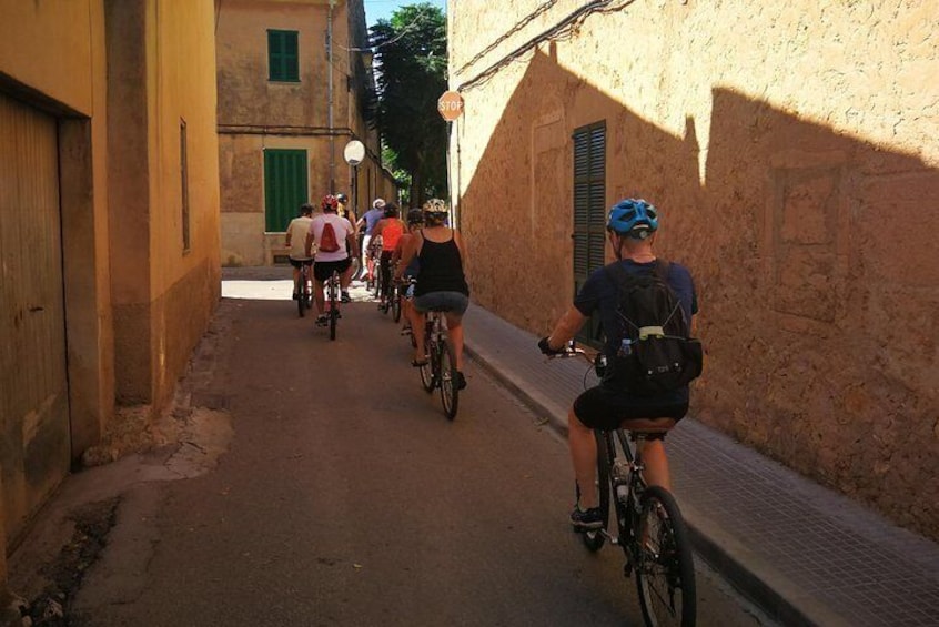 Palma Bicycle Tour