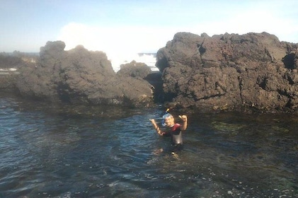 Snorkelling Experience in Terceira, Azores