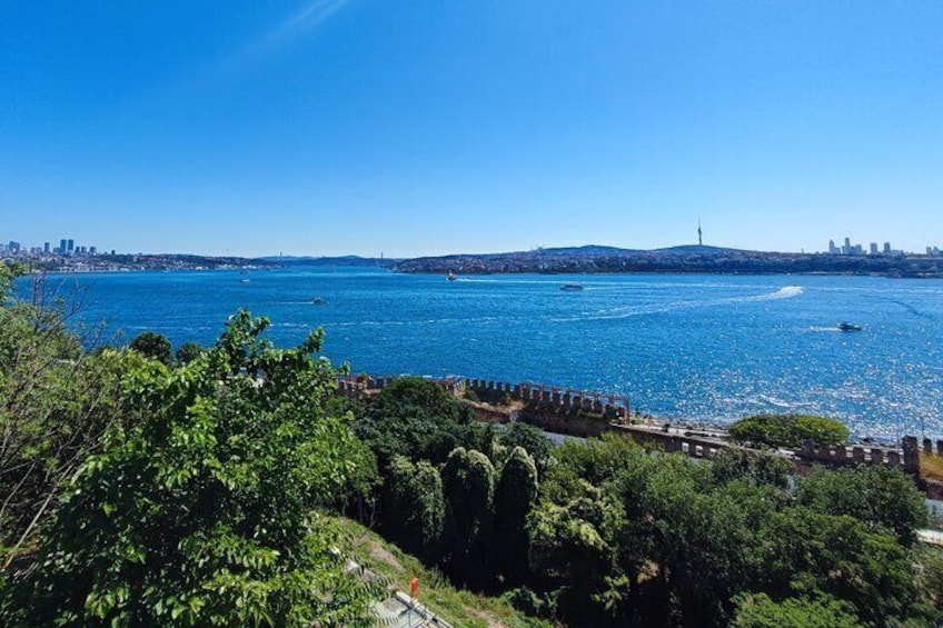 Topkapi Palace with Harem and Blue Mosque Guided Tour