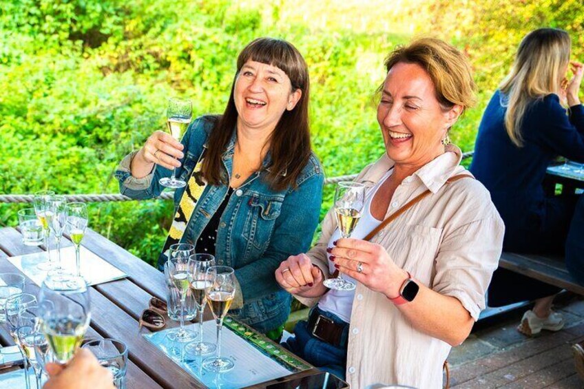 Tutored wine tastings at each vineyard