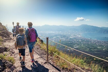 Pompeii & Vesuvius: History, Wine & Lunch by the Volcano