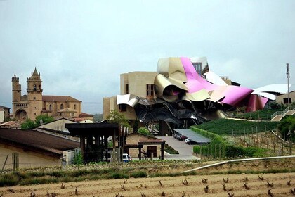 La Rioja and Vitoria Wine Tour with Winery Visit