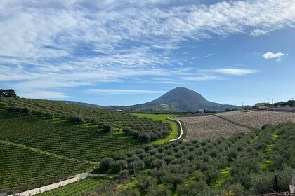 Visit the garden of Zeus - Olive oil experience and snack tasting