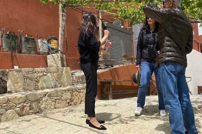 Visit the garden of Zeus - Olive oil experience and snack tasting