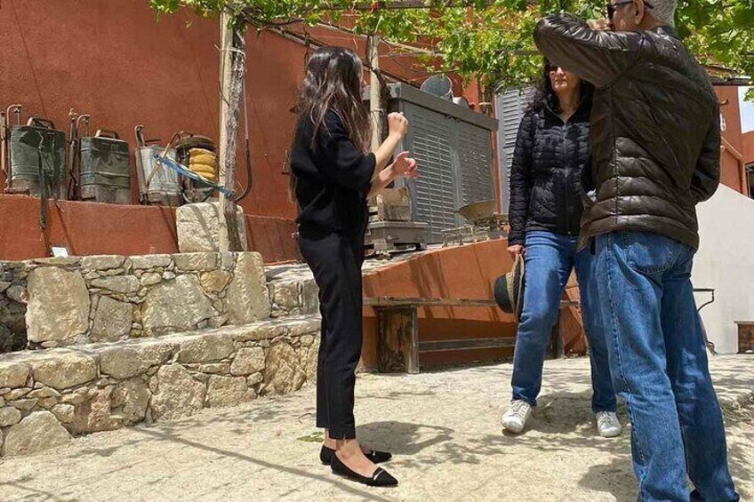 Visit the garden of Zeus - Olive oil experience and snack tasting