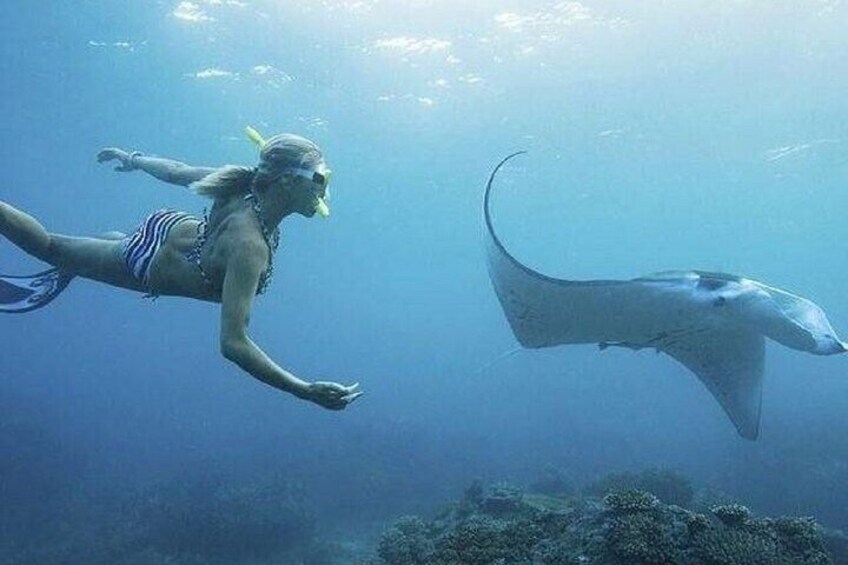 From Lembongan: Snorkeling Day Trip to Nusa Lembongan & nusa Penida island