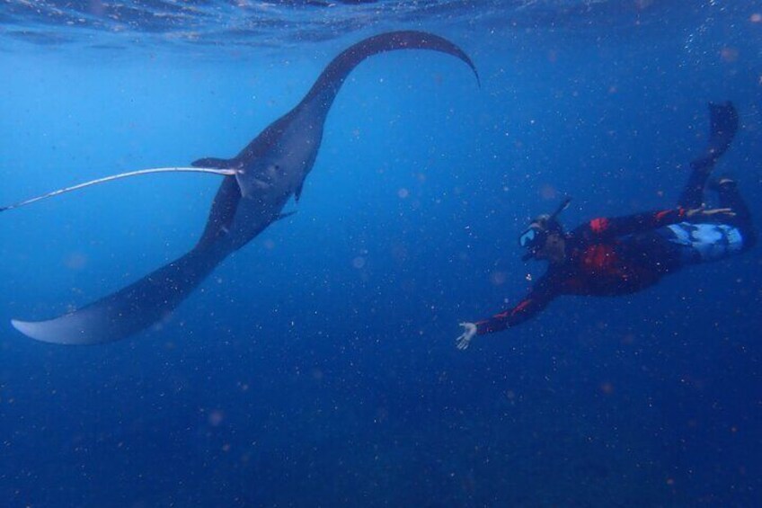 From Lembongan: Snorkeling Day Trip to Nusa Lembongan & nusa Penida island