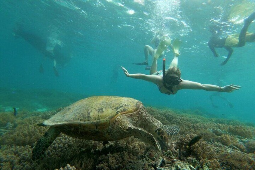 Gili Trawangan,Gili Meno& Gili Air Island:Snorkeling Day Trip Depart from Lombok