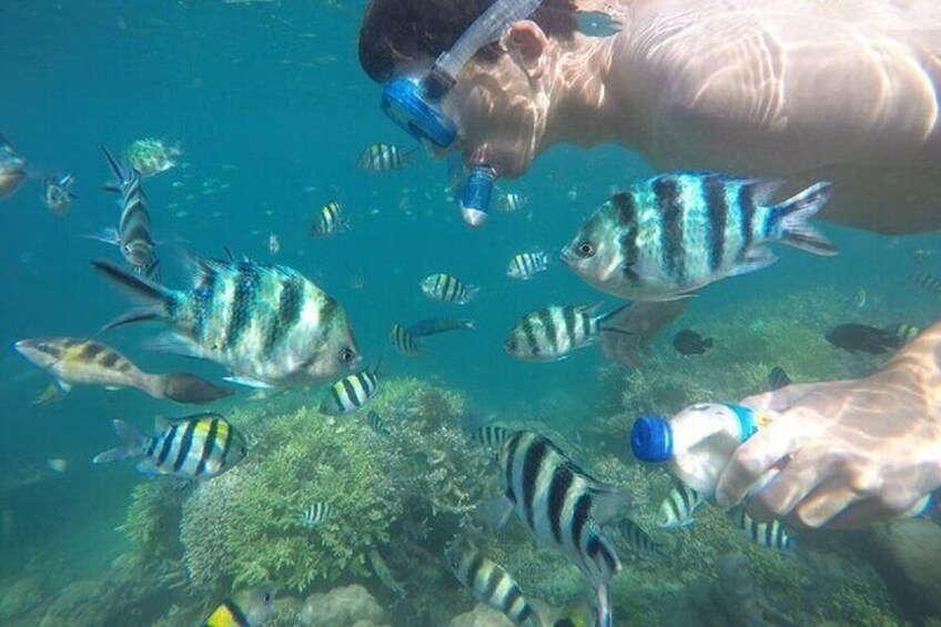 Gili Nanggu,Gili Kedis & Gili Sudak Hopping island & Snorkeling Tour