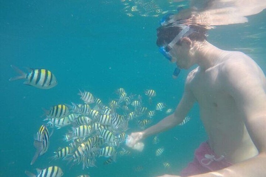Gili Nanggu,Gili Kedis & Gili Sudak Hopping island & Snorkeling Tour