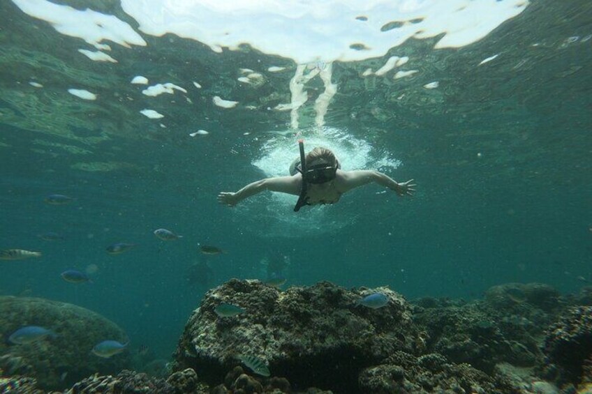 Gili island Snorkeling Half Day Trip departure from Gili Trawangan