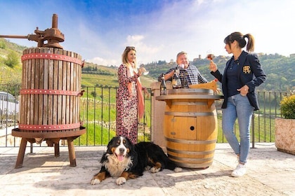 Valpolicella Wine Tour: Utforska 3 vingårdar, lunch & Amarone Focus