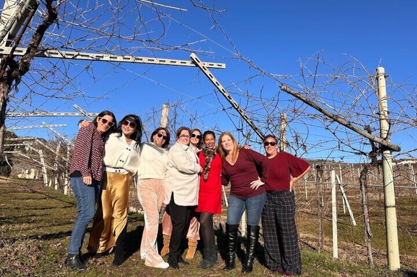 Valpolicella Wine Tour: 3 Wineries, refined lunch & unique Amarone tastings