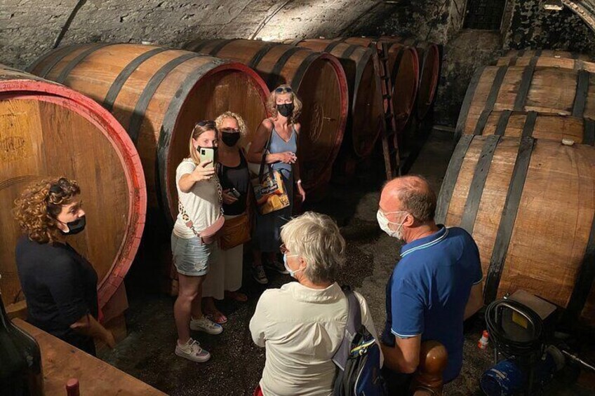 from Verona: Amarone wine tour: 3 wineries with lunch