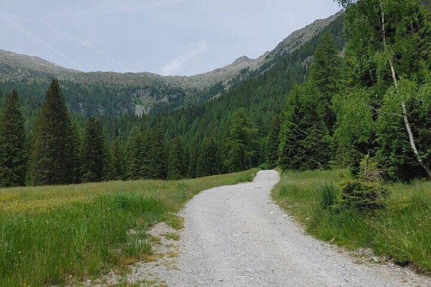 visit DOLOMITI FROM VERONA