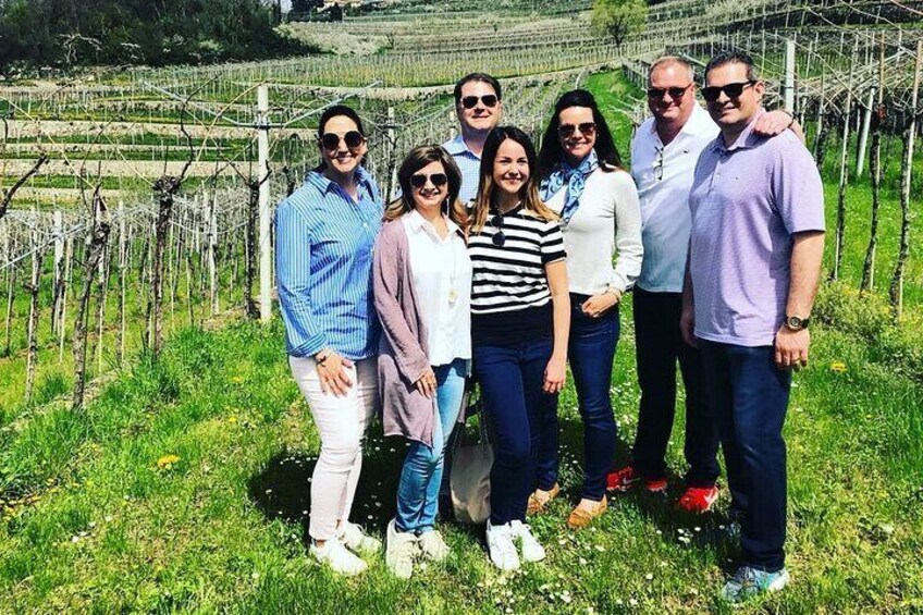 Amarone half day tour: 1 winery with light lunch