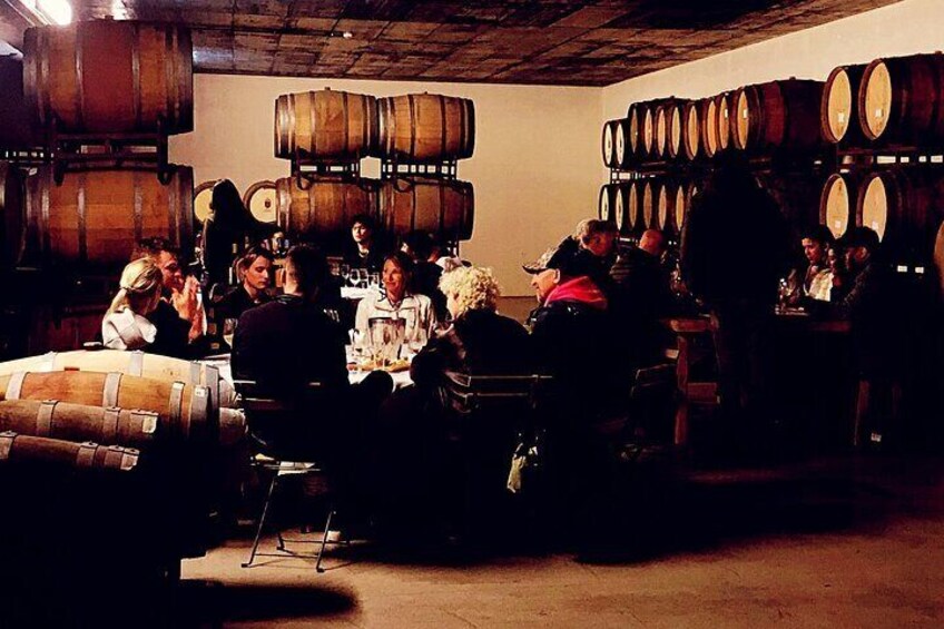 Private Full-Day Arrábida Wine Tour and Food Tasting