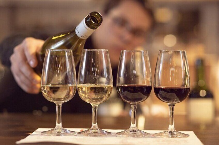 Private Full-Day Arrábida Wine Tour and Food Tasting