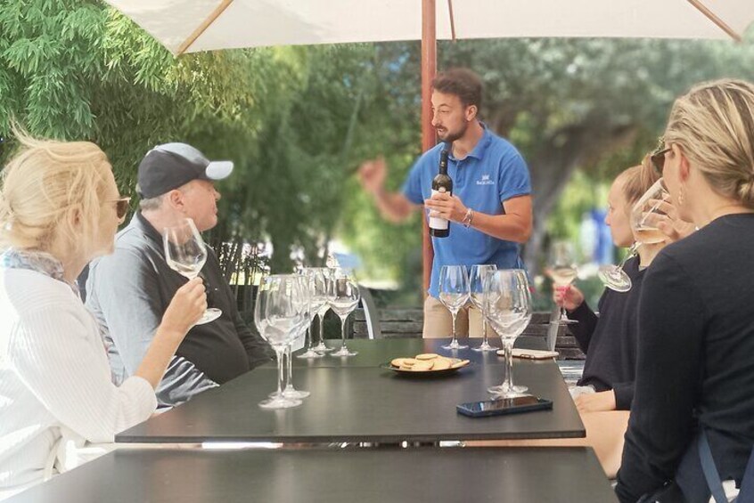 Private Full-Day Arrábida Wine Tour and Food Tasting