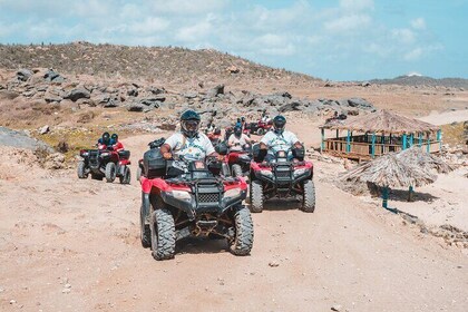 Aruba North Coast quad bike Desert and Beach Tour