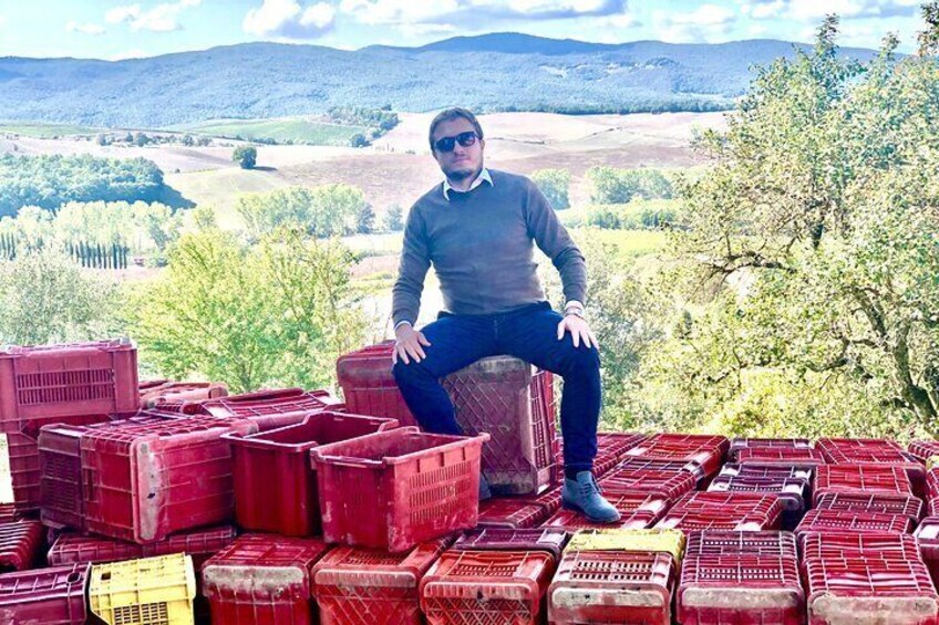 Harvest time in Montepulciano