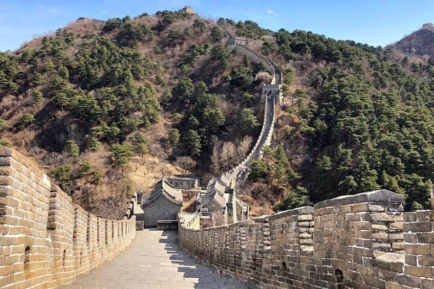 Great Wall of China