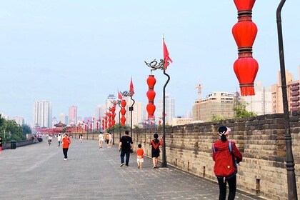 Private Xi'an City Highlight Day Tour