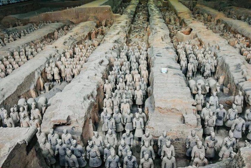 The Museum of Qin Terra-cotta Warriors and Horses