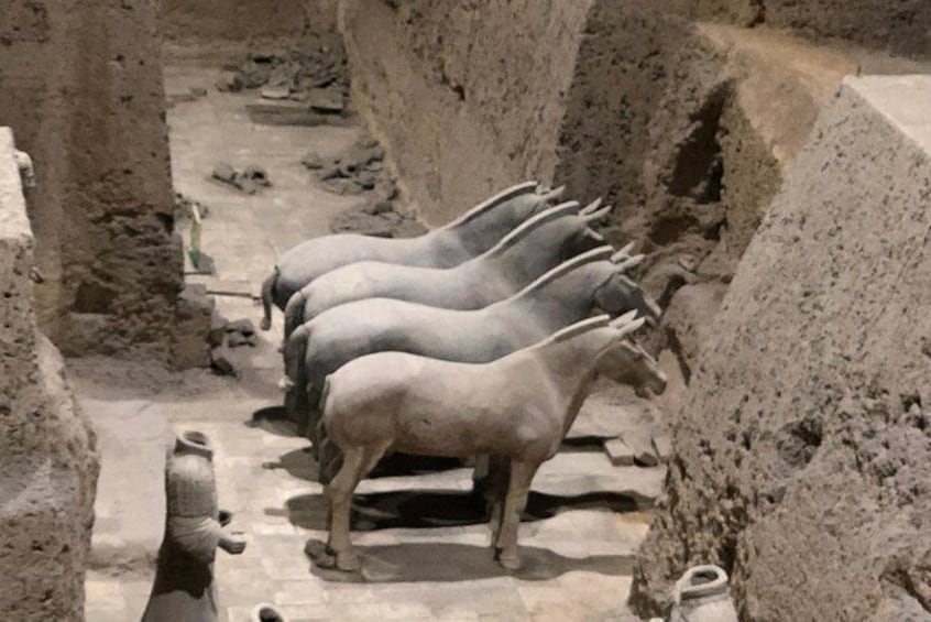 The Museum of Qin Terra-cotta Warriors and Horses