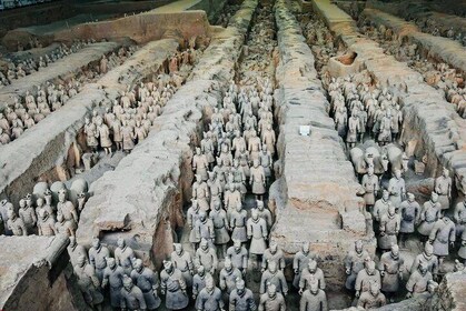 Private Terra Cotta Army and Xi'an City Wall Day Tour