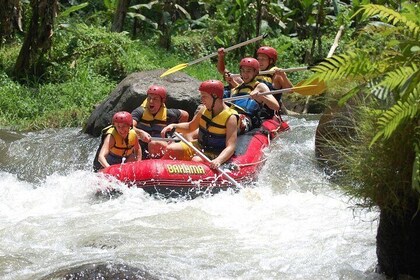Ayung White Water Rafting: All Inclusive Rafting Adventure