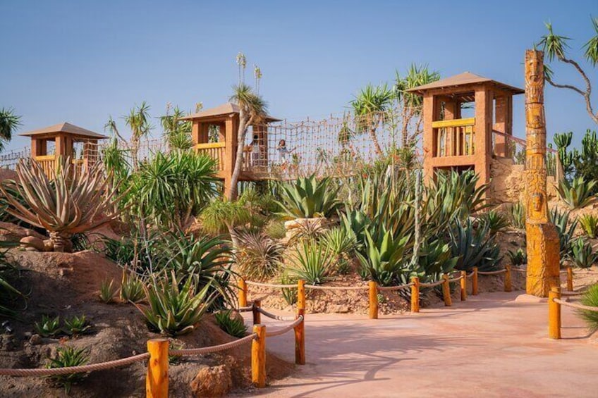 Jardin des Cactus