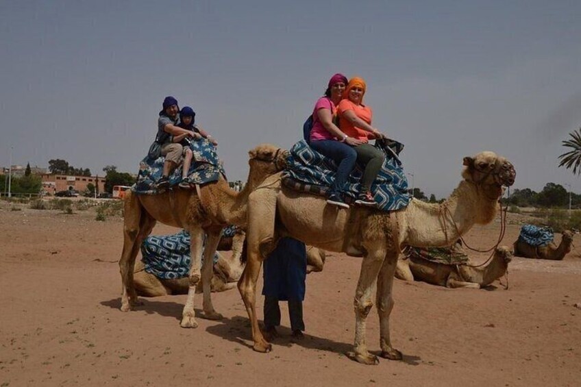 Agadir Camel riding with Hotel Transfers 