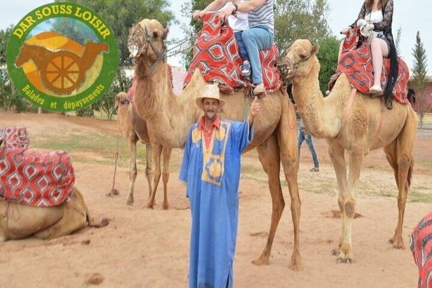 Camel ride in Agadir 