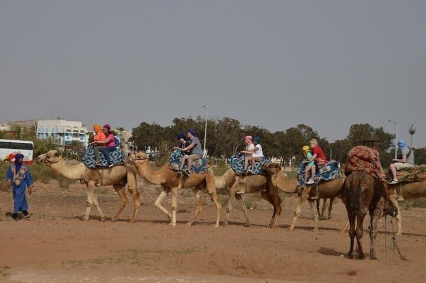 Agadir Camel riding with Hotel Transfers 