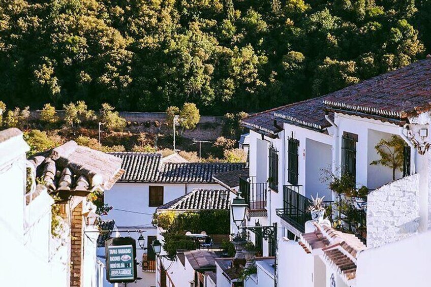 Albayzin and Sacromonte Guided Walking Tour in Granada