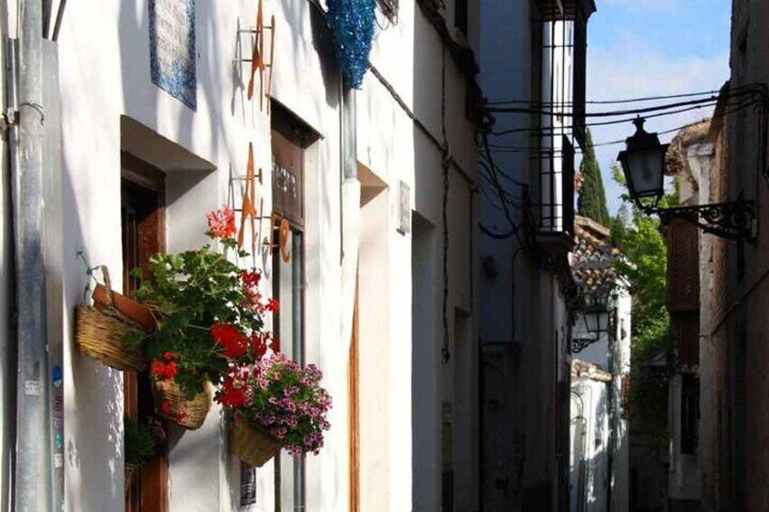 Albayzin and Sacromonte Guided Walking Tour in Granada