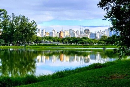 Recorrido privado y personalizado por la ciudad de São Paulo (Brasil)