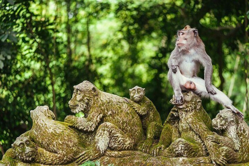 ubud monkey forest