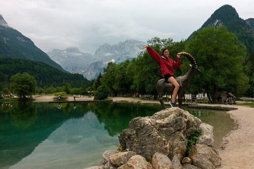 Famous Goldhorn Riding at Jasna Lake, Kranjska Gora