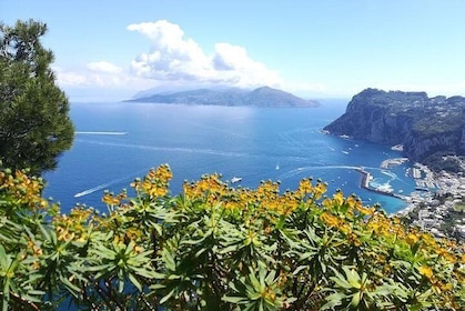 En særlig dag i Capri - vandre- og bådtur