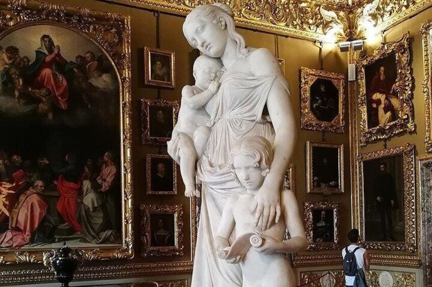 Skip-the-Line Pitti Palace and Palatine Gallery Walking Tour