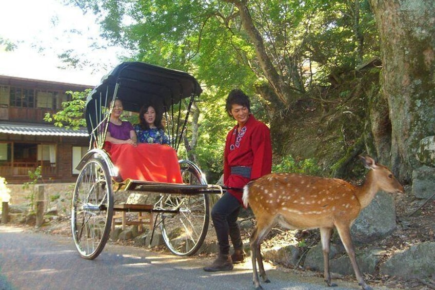 Private Miyajima Rickshaw Tour Including Itsukushima Shrine