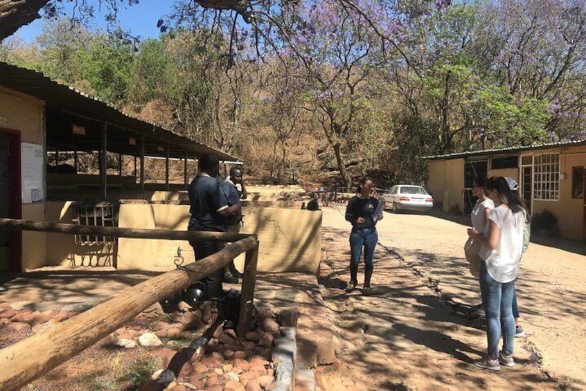 Meeting the crew at the stables 